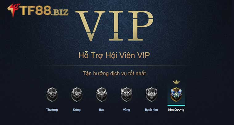 vip tf88