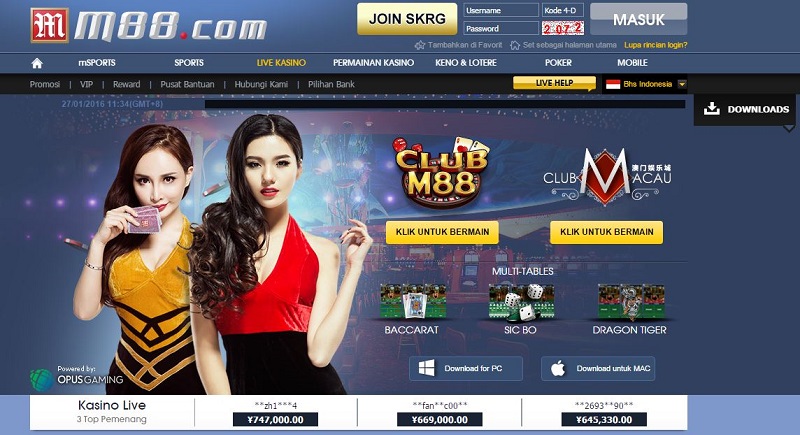 M88 - nhà cái đi đầu trên thị trường cược Việt Nam