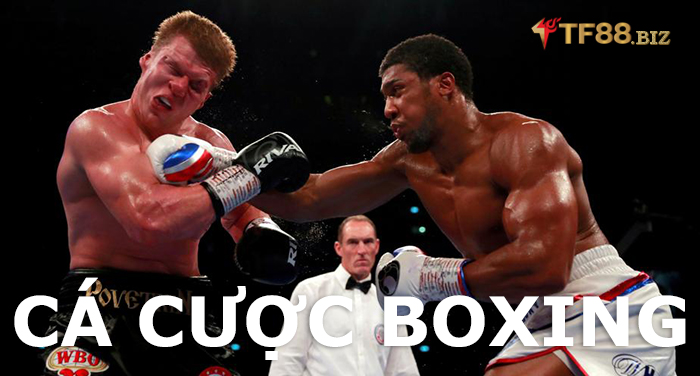 cách chơi cá cược Boxing