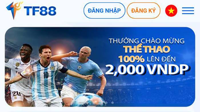 Tìm hiểu nền tảng cá độ bóng đá TF88 Tìm hiểu nền tảng cá độ bóng đá TF88