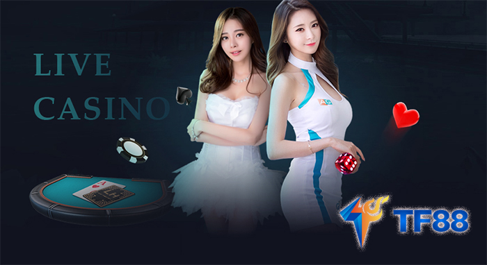 Những điều khoản dành cho thành viên cá cược tại TF88 Những điều khoản dành cho thành viên cá cược tại TF88