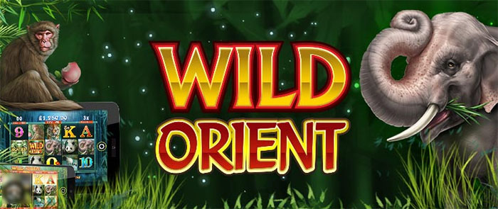 wild-orient-slot